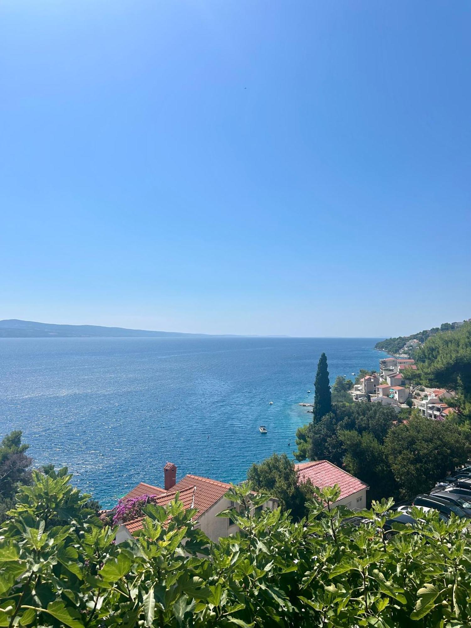 Sunny Hill With Rooftop Pool Appartamento *